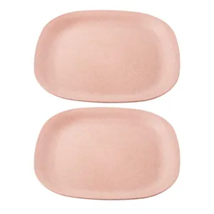 Irida Naturals Rice Husk & Bamboo Fiber Square Dinner Plates Pack of 2