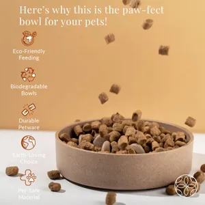 Earth-Friendly Slow Feeder Pet Bowls for Dogs and Cats