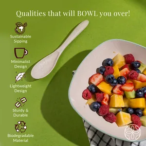 Irida Naturals Rice Husk Multipurpose Snack Bowls Set - Pack of 4