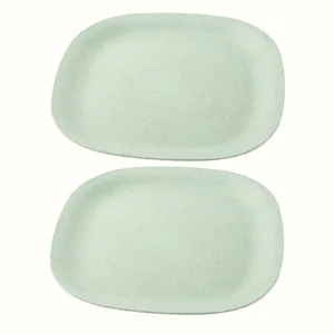 Rice Husk & Bamboo Fiber Square Dinner Plates Pack of 2