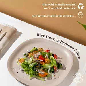 Rice Husk & Bamboo Fiber Square Dinner Plates Pack of 2
