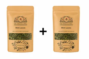 Mint Leaves - 50 gms | Pack of 2