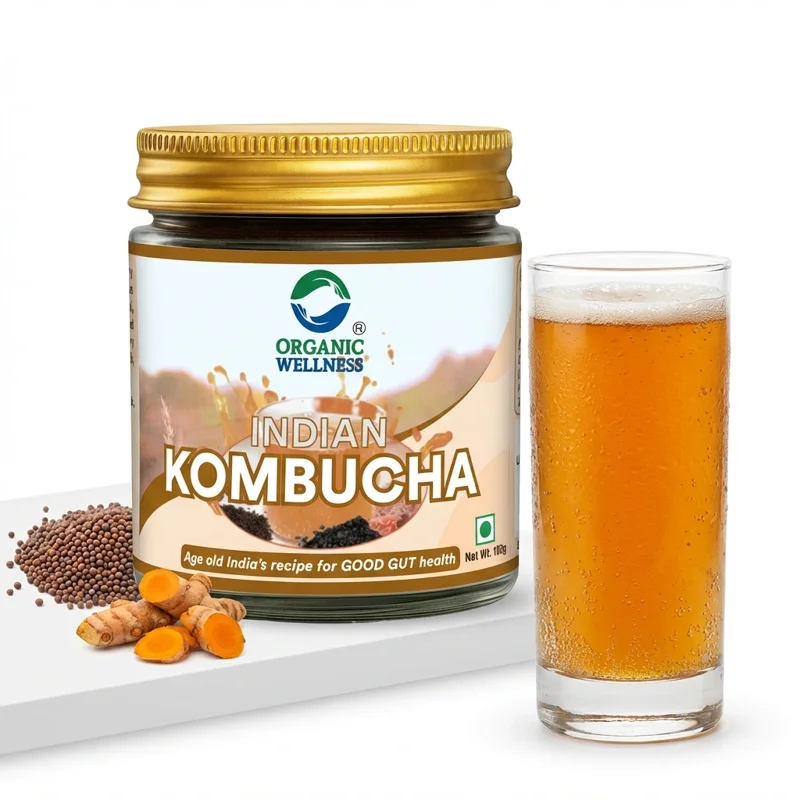 Organic Wellness Indian Kombucha Powder – Certified Organic – Probiotic Health Drink – 100 g