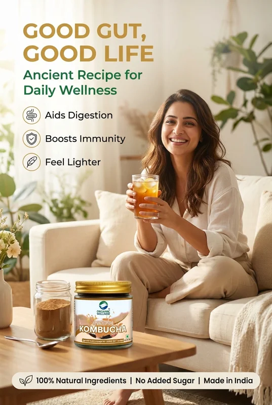Organic Wellness Indian Kombucha Powder – Certified Organic – Probiotic Health Drink – 100 g thumbnail