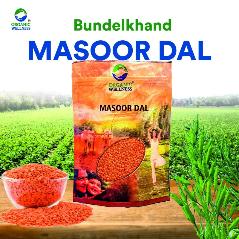 Organic Wellness Masoor Dal Split – Red Lentils – Bundelkhand Sourced – 450 g thumbnail