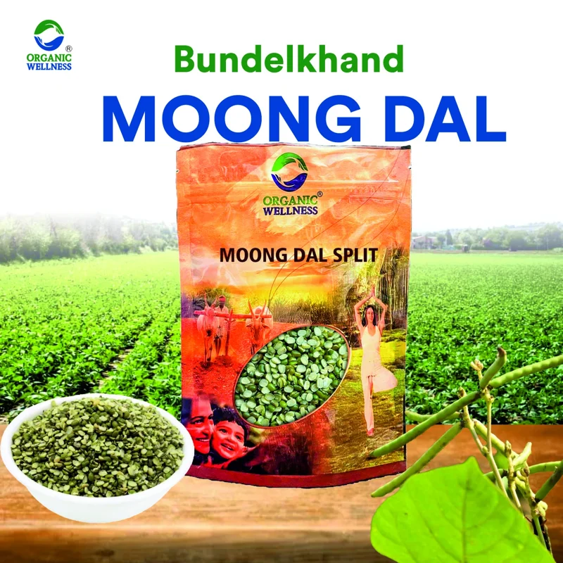 Organic Wellness Moong Chilka Split Dal – Split Green Gram – Bundelkhand Sourced – 450 g