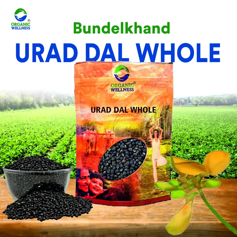 Organic Wellness Urad Dal Whole – Black Gram – Bundelkhand Sourced – 450 g