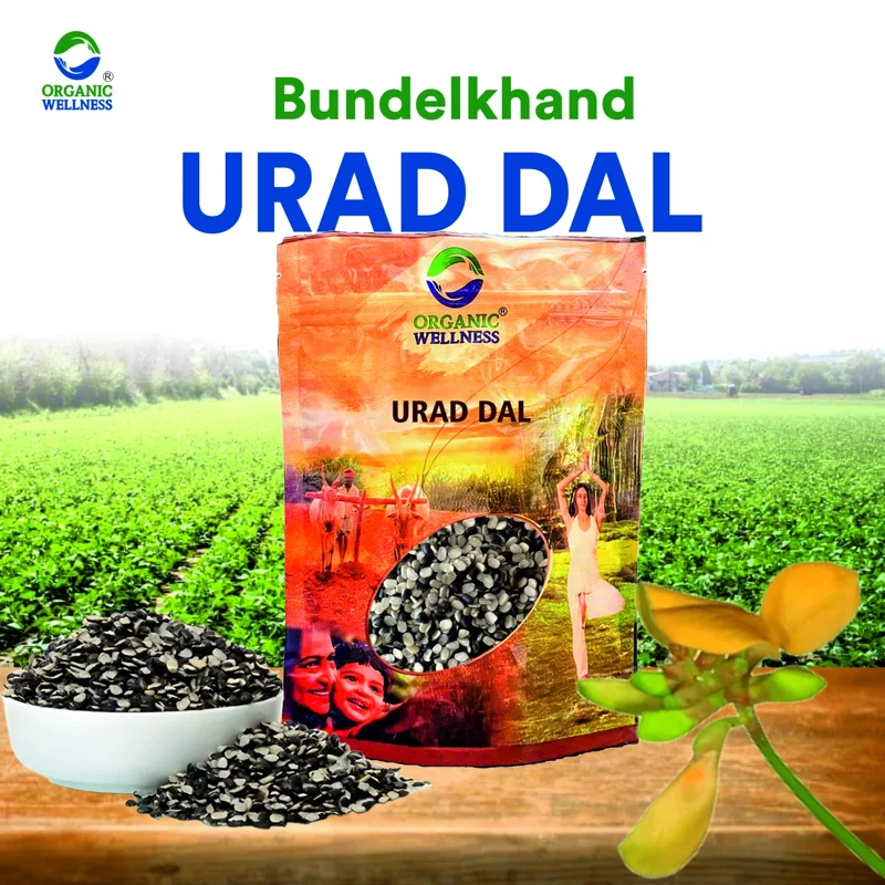 Organic Wellness Urad Dal Split – White Urad – Bundelkhand Sourced – 450 g