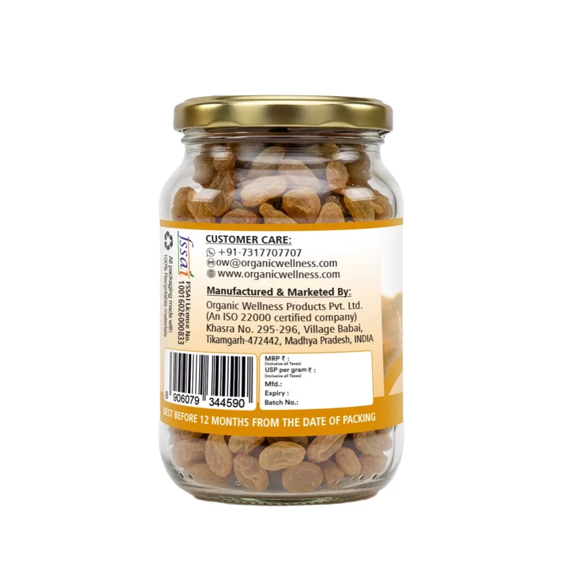 Organic Wellness Seedless Green Raisins (Kismis) – Gluten Free – 150 g thumbnail