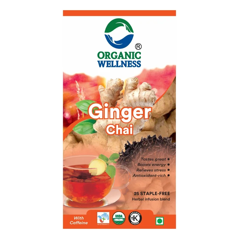 Organic Wellness Ginger Chai Tea – Warming Spiced Tea – Digestive Support – 25 Teabags