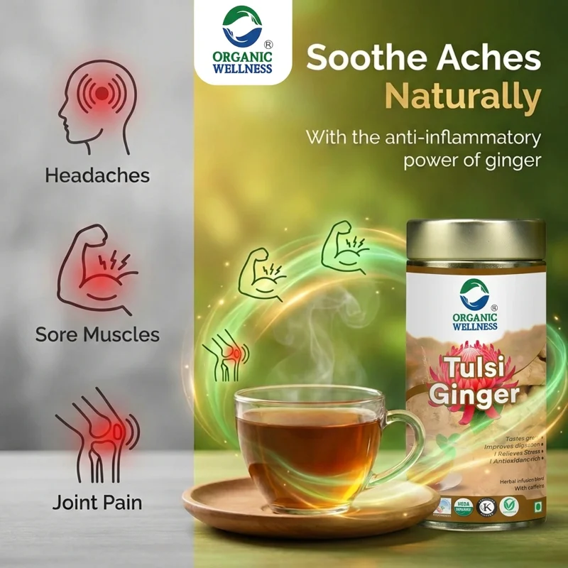 Organic Wellness Tulsi Ginger Tea – Digestive Support – Immunity Booster – 100 g Tin thumbnail