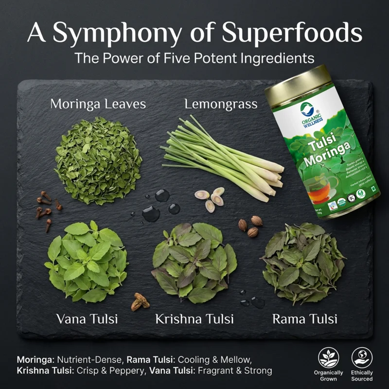 Organic Wellness Tulsi Moringa Tea – Rich in Nutrients – Immunity Booster – 100 g Tin thumbnail