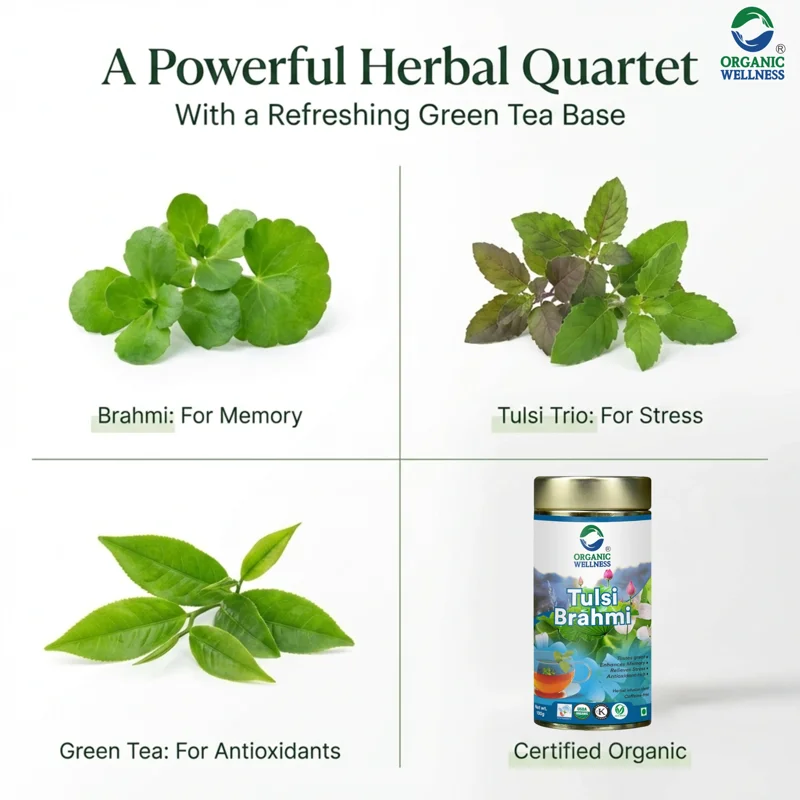 Organic Wellness Tulsi Brahmi Tea – Memory & Focus – Stress Relief – 100 g Tin thumbnail