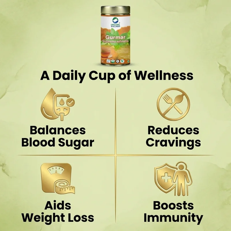 Organic Wellness Gurmaar Gymnema Sylvestre Tea – Certified Organic – Blood Sugar Support – 100 g Tin thumbnail