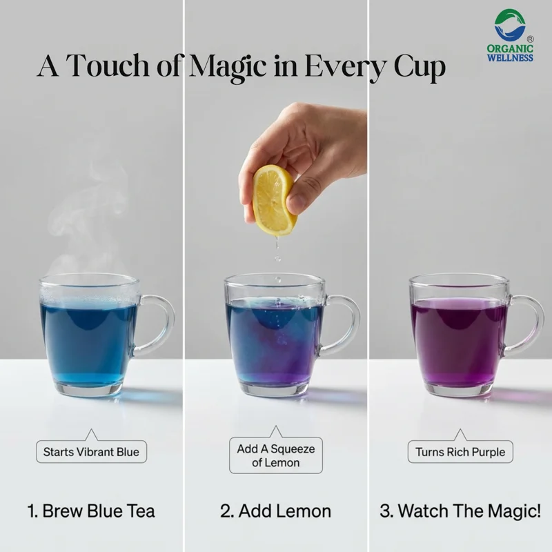 Organic Wellness Butterfly Pea Flower Tea – Caffeine Free – Memory Boosting, Stress Relief – 50 g Tin thumbnail