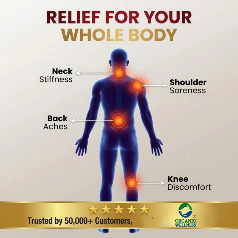 Organic Wellness Pain-R Oil – Certified Organic – Ayurvedic Pain Relief, Natural Herbal Blend – 100 ml thumbnail
