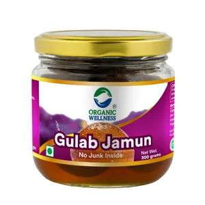 Organic Wellness Gulab Jamun – Ready to Eat – Traditional – 300 g