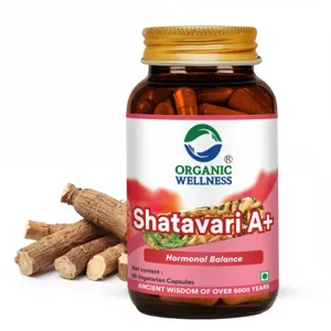 Organic Wellness Shatavari Powder – Certified Organic – Women's Health & Hormonal Balance – 100 g