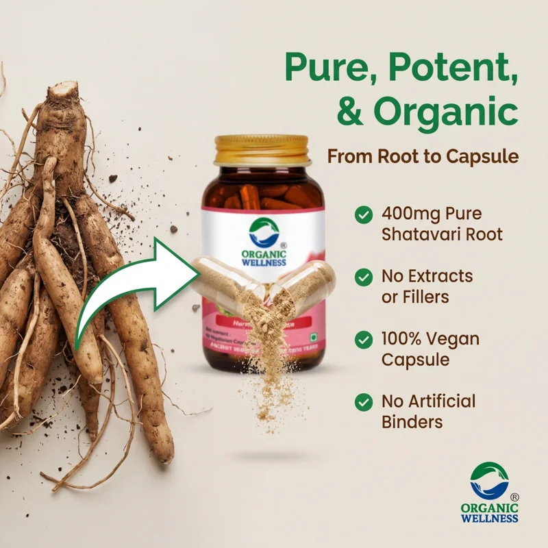 Organic Wellness Shatavari Powder – Certified Organic – Women's Health & Hormonal Balance – 100 g thumbnail