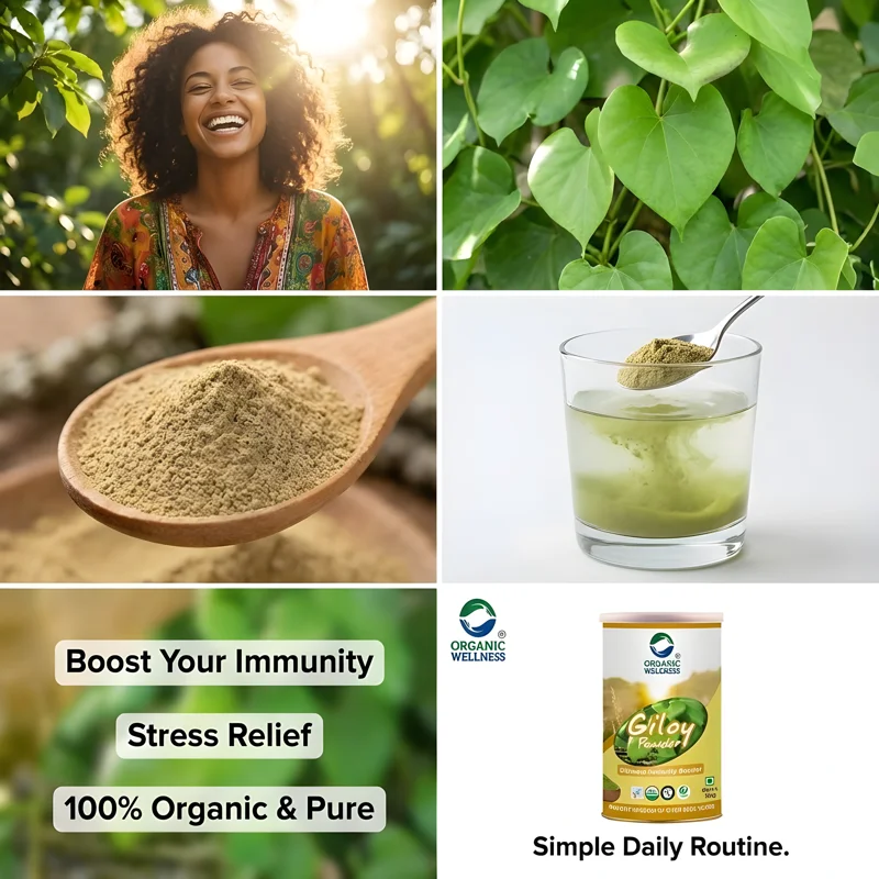 Organic Wellness Giloy Powder – Immunity Booster – Immunity Support – 100 g thumbnail
