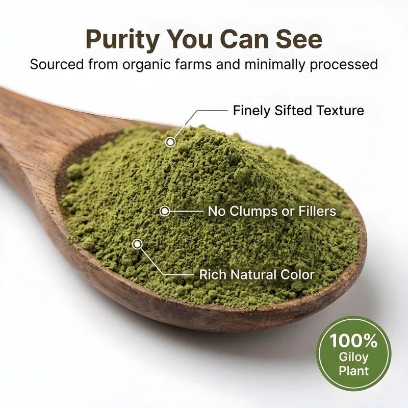 Organic Wellness Giloy Powder – Immunity Booster – Immunity Support – 100 g thumbnail