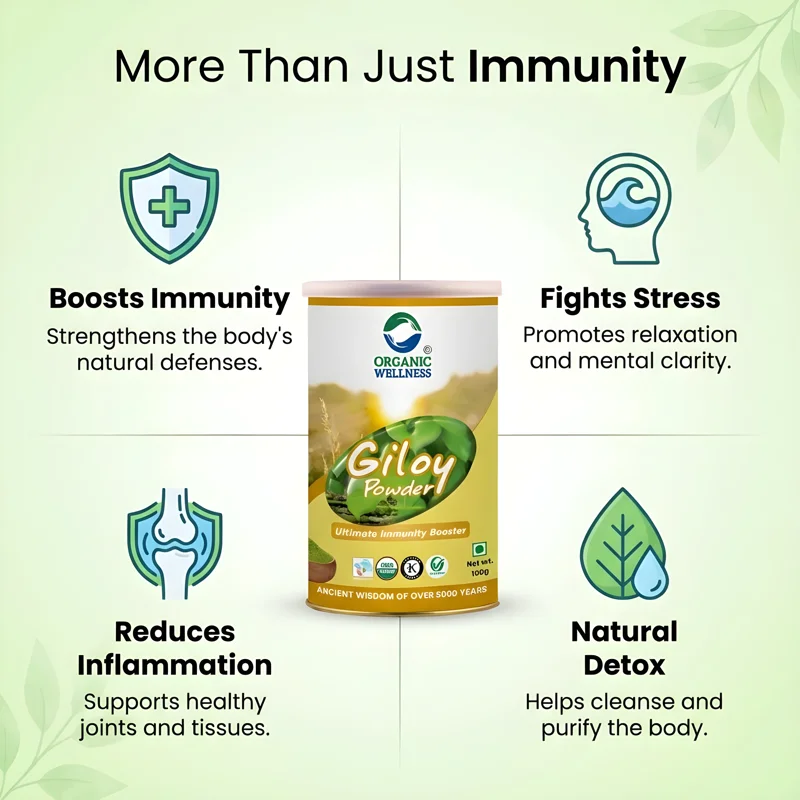 Organic Wellness Giloy Powder – Immunity Booster – Immunity Support – 100 g thumbnail