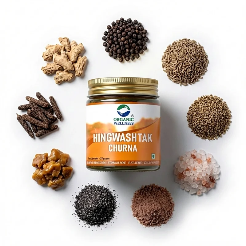 Organic Wellness Hingwashtak Churna – Ayurvedic Digestive Relief – 75 g