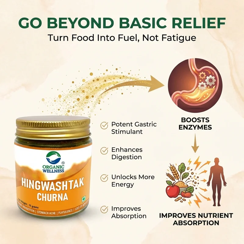 Organic Wellness Hingwashtak Churna – Ayurvedic Digestive Relief – 75 g thumbnail