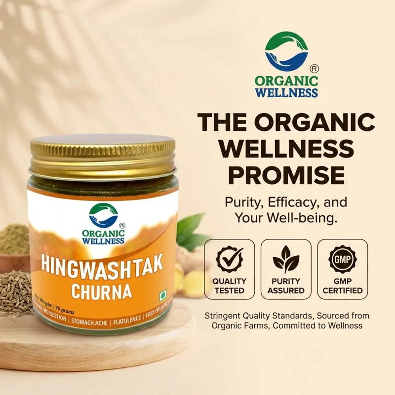 Organic Wellness Hingwashtak Churna – Ayurvedic Digestive Relief – 75 g thumbnail
