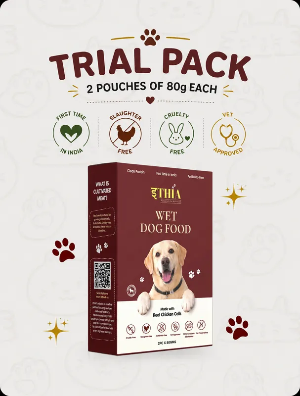 Ethia Premium Wet Dog Food – Trial Pack (2 Pouches x 80g)
